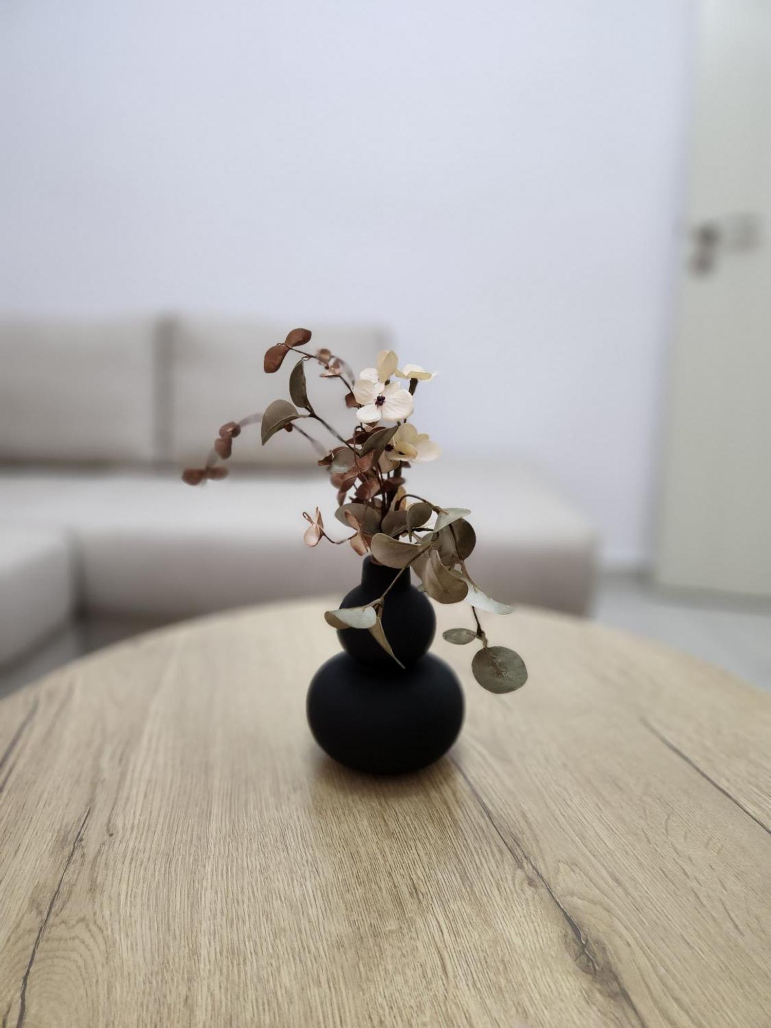 Nevi Apartment 地拉那 外观 照片